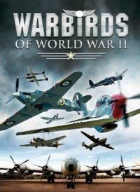 WarBirds - World War II Combat Aviation
