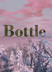 Bottle (2016)