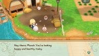 Screen 1 STORY OF SEASONS: Friends of Mineral Town