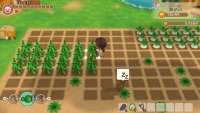 Screen 3 STORY OF SEASONS: Friends of Mineral Town